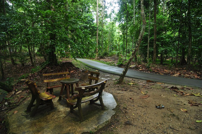 Som Forest Reserve, Pahang